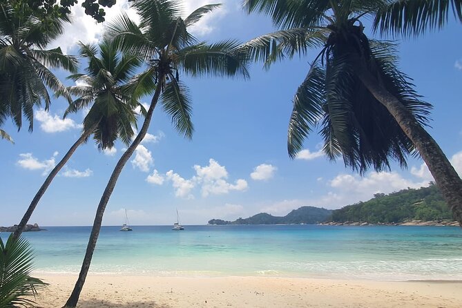 5 Hour Private Customize Tour of Mahe, Seychelles - The private guide effect: less rushing, more real conversations
