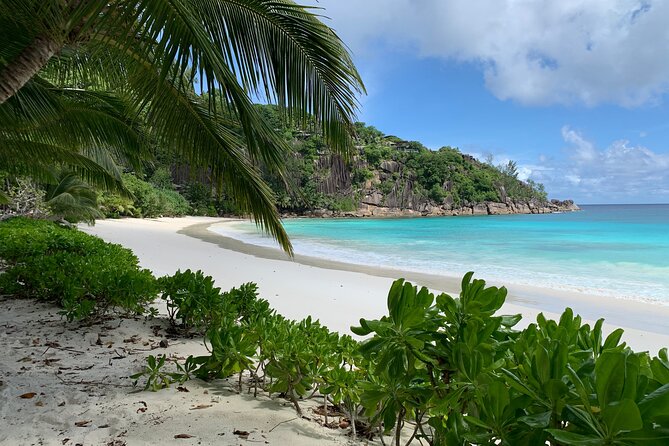 Beautiful island tour 5-6 hours | Mahé, Seychelles | Private Tour - Why this Mahé private tour is a smart first-day move