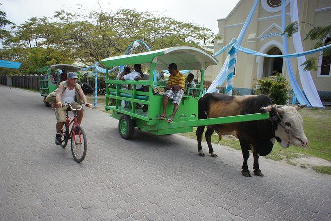Cat Rose: Praslin Island / La Digue Island Fast Ferry - Price and Value: Is $18.58 a Good Deal?