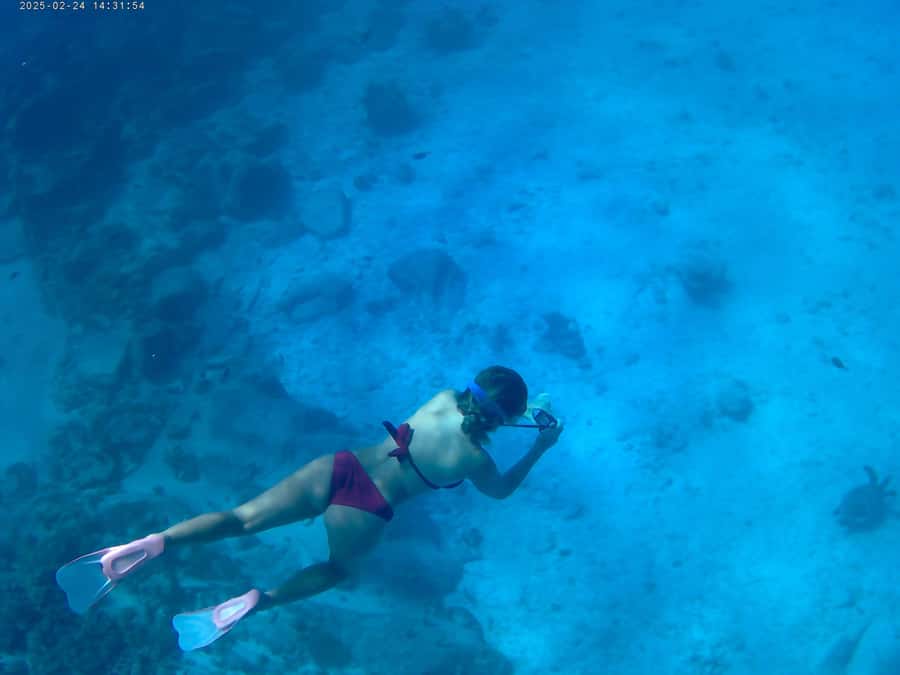 Curieuse and St Pierre Snorkeling Half-Day Trip No BBQ Lunch - The mangrove swamp hike to Anse José Beach