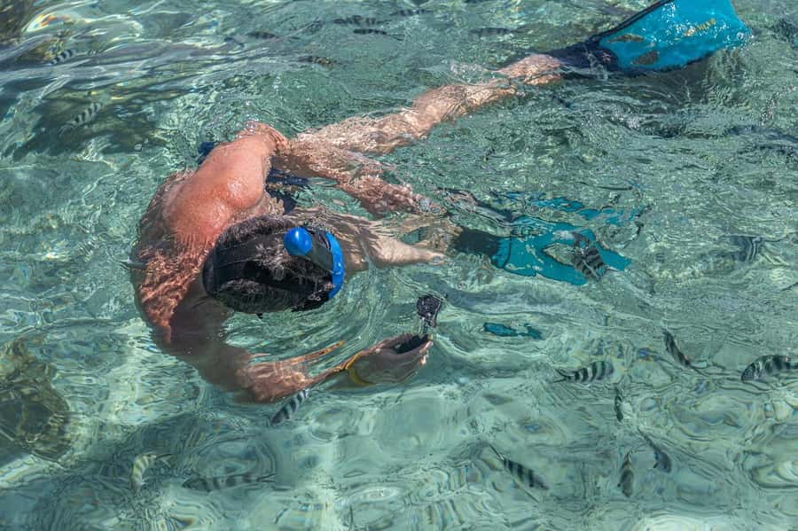 Curieuse and St Pierre Snorkeling Half-Day Trip No BBQ Lunch - Curieuse Island: tortoises, a real sanctuary visit, and the 20 Euro landing fee