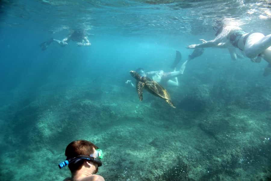 Curieuse Guided Tour, St Pierre, BBQ & 2 Snorkel Stops - Key points to know before you go