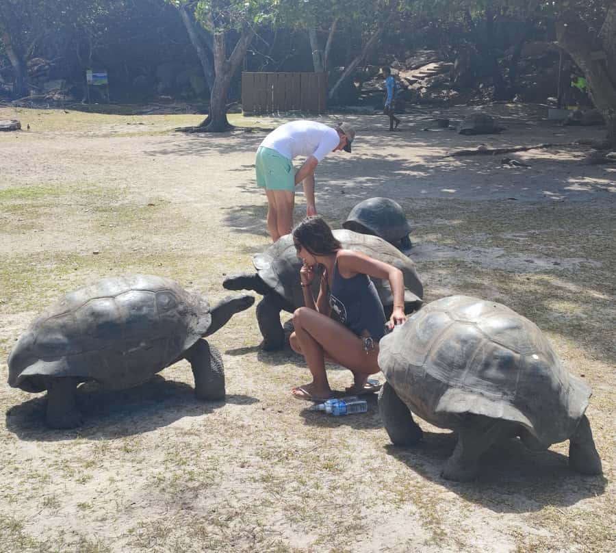 Curieuse Guided Tour, St Pierre, BBQ & 2 Snorkel Stops - Praslin to Curieuse, and why the timing feels right