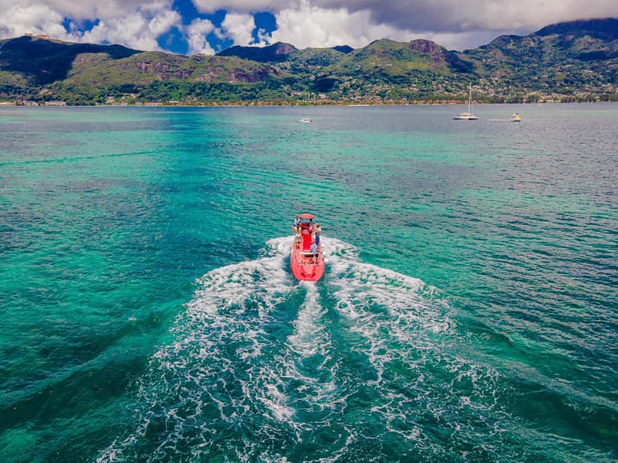 Eden Island: Semi-Submarine Tour in St. Anne Marine Park - Departure times and how to choose the best slot