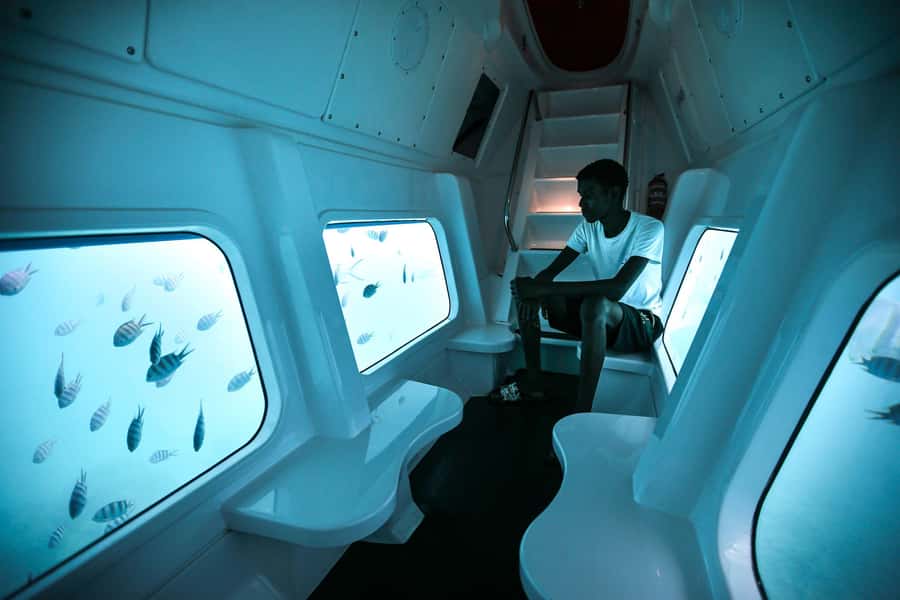 Eden Island: Semi-Submarine Tour in St. Anne Marine Park - Price and value: is $64 per person worth it?