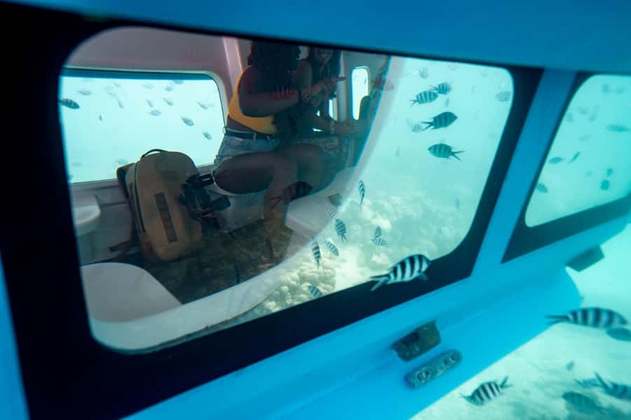 Eden Island: Semi-Submarine Tour in St. Anne Marine Park - What you’ll see in Sainte Anne National Marine Park (and what to focus on)