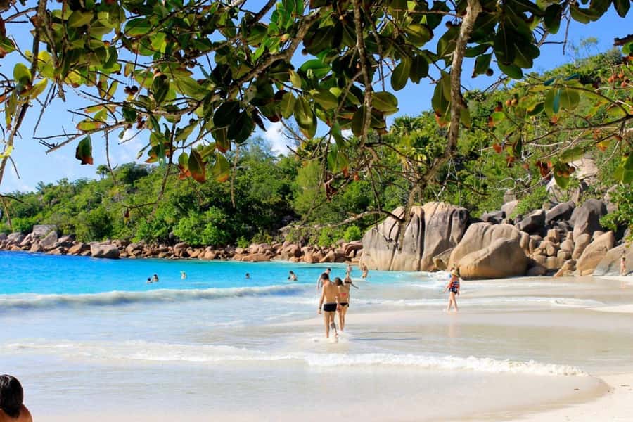 From Mahe eden island to Praslin & Ladigue Daytrip - Should You Book This Praslin and La Digue Daytrip?