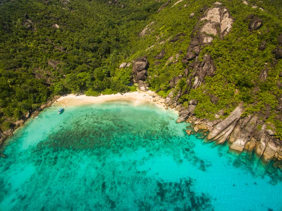From Mahe: Guided Nature Trail Walk to Anse Major Beach - Swimming, snorkeling, and beach time that feels like a reward