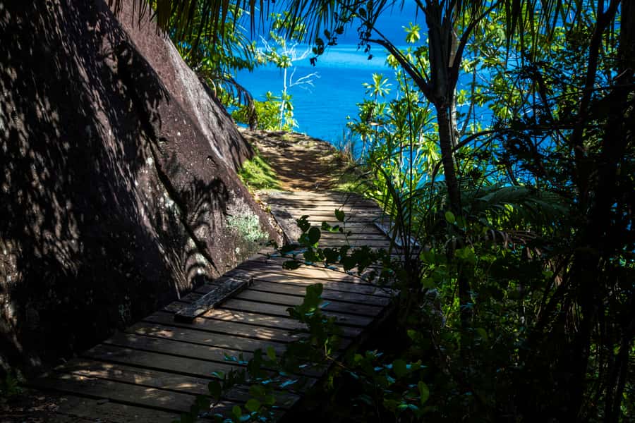 From Mahe: Guided Nature Trail Walk to Anse Major Beach - What to bring for comfort on the trail and at Anse Major
