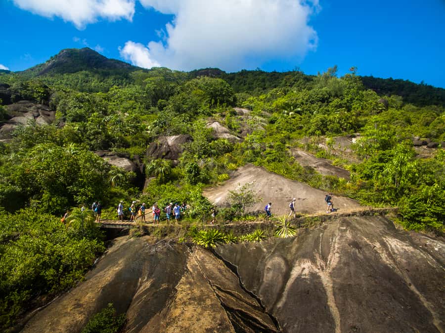 From Mahe: Guided Nature Trail Walk to Anse Major Beach - Walking the nature trail through Glacis, where birds do their thing
