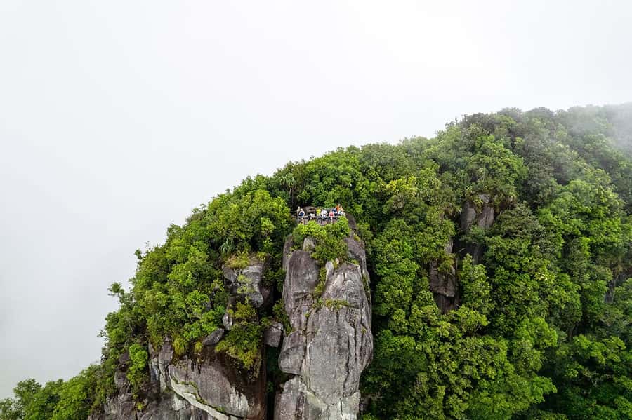 From Mahe: Guided Nature Trail Walk to Morne Blanc - Local trees and seasonal fruit: what to watch for on the climb