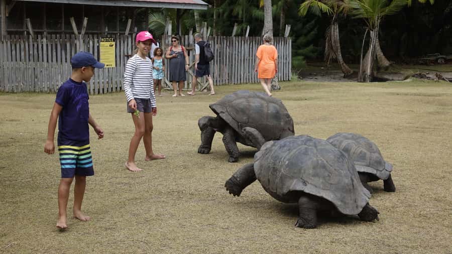 From Praslin: Cousin, Curieuse & St Pierre Islands Day Tour - Cousin Island first, where a Special Nature Reserve walk makes the wildlife make sense