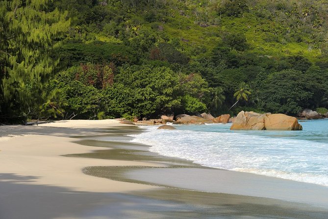 Full Day Discovery Tour of Vallee de Mai and Anse Lazio on Praslin Island - What Is Included, What Is Not, and How That Affects Value