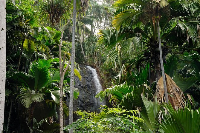 Full Day Discovery Tour of Vallee de Mai and Anse Lazio on Praslin Island - Who This Tour Suits Best on Praslin