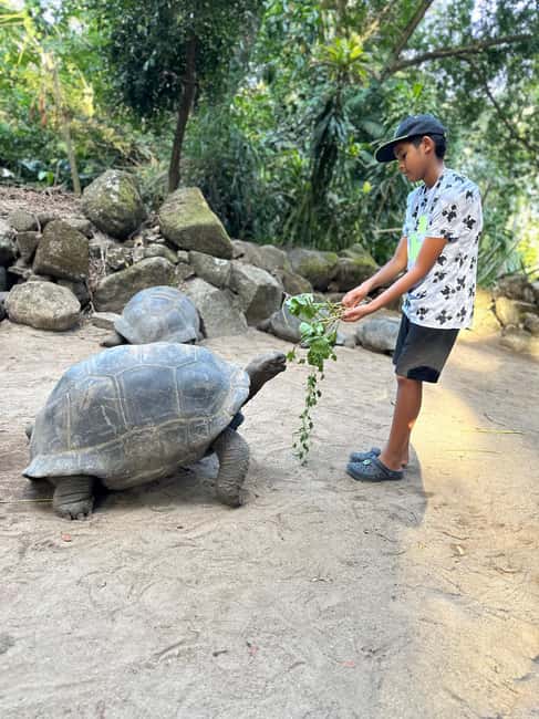 Full day Mahe Tour - A smooth private full-day loop on Mahé