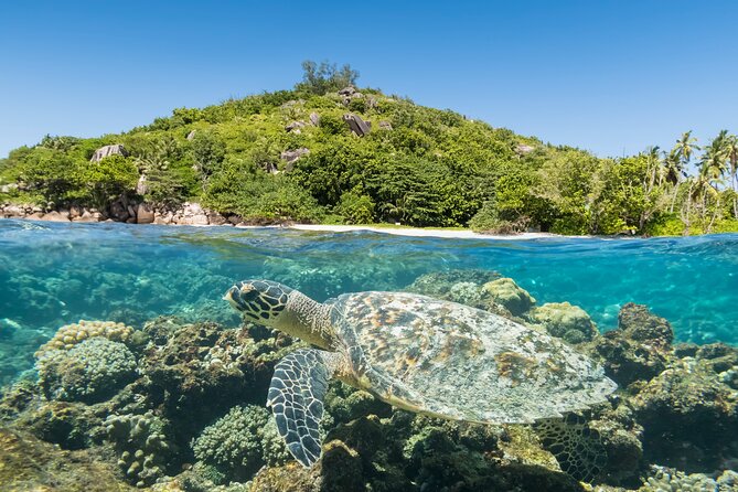 Full Day Reef Safari at St Anne Marine Park Seychelles - Ile au Cerf: where lunch turns into a mini-island reset