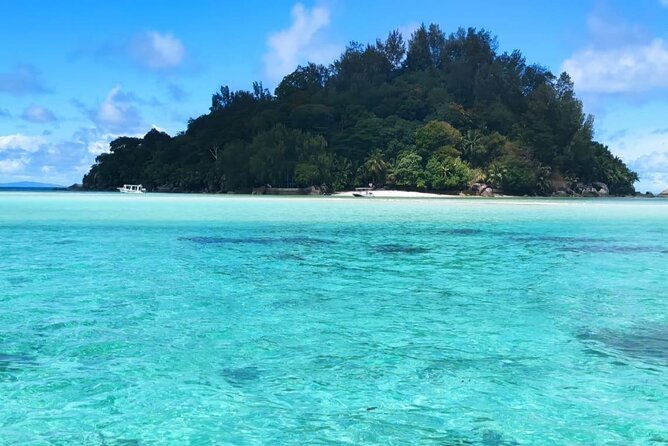 Full Day Reef Safari at St Anne Marine Park Seychelles - What the boat day feels like: comfort, crowds, and getting back aboard