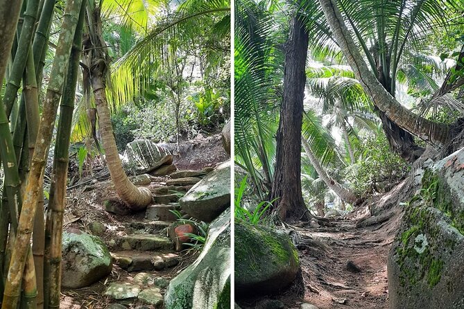 Full Day Reef Safari at St Anne Marine Park Seychelles - Snorkeling expectations: coral gardens, turtles, and how to make it count