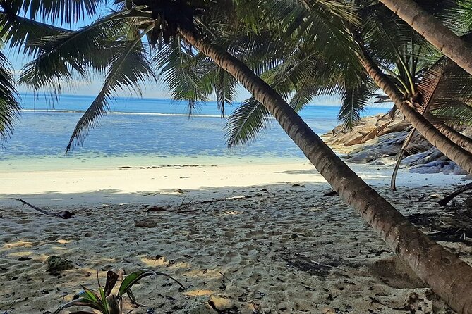 Full Day Reef Safari at St Anne Marine Park Seychelles - Who should book this St Anne reef safari?