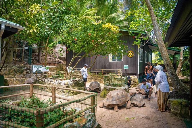 Full Day Reef Safari at St Anne Marine Park Seychelles - Ile Moyenne: giant tortoises, a chapel in the forest, and viewpoints