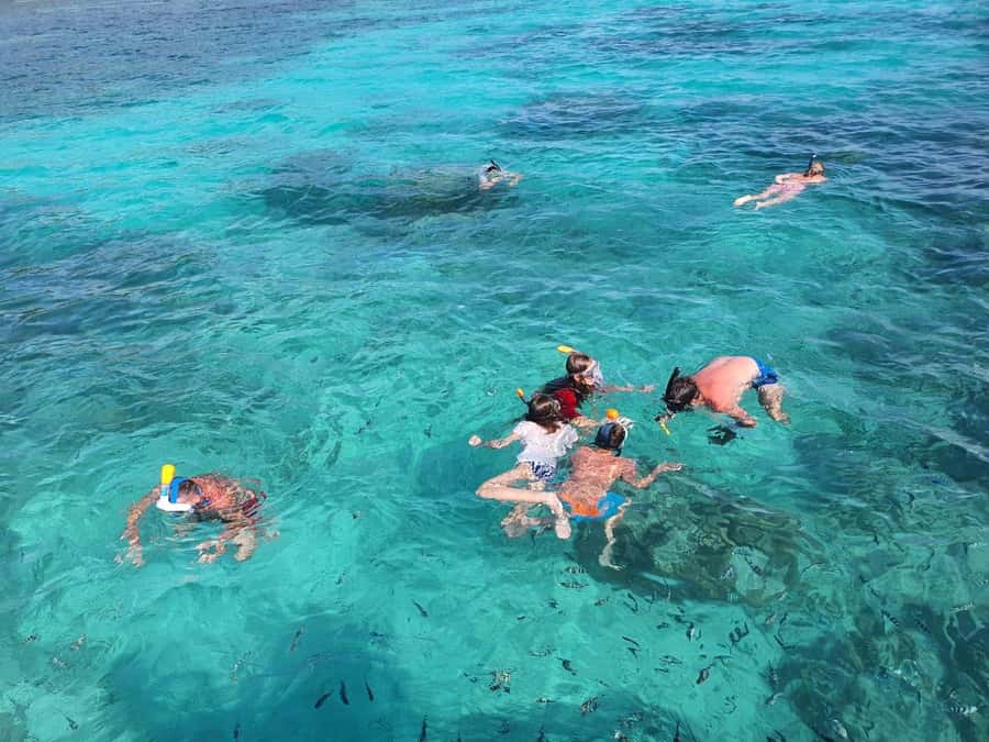 Glassbottom boat & Crystalkayak SteAnneMarinePark Snorkeling - Cerf Island BBQ Lunch and Giant Tortoises