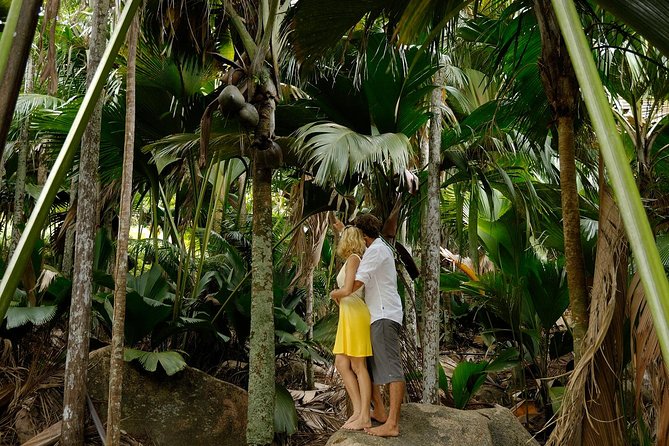 Half Day Discovery Tour of Vallee de Mai on Praslin Island - Pickup from Anse Volbert and an AC ride that matters