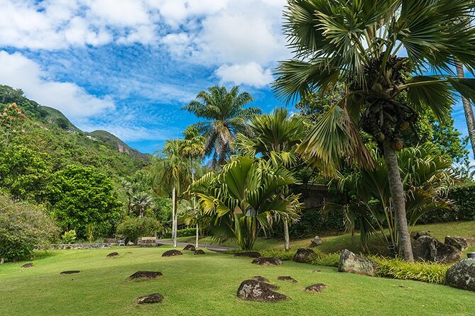 Half Day Discovery Tour of Victoria - Seychelles Capital on Mahe Island - Price and what $211.42 per person buys you