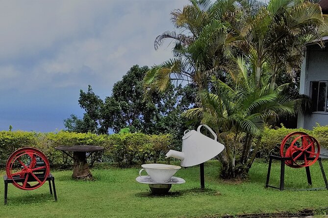 Half-Day Mahe private Tour - Why Mahe in about 5 hours can be the smart move