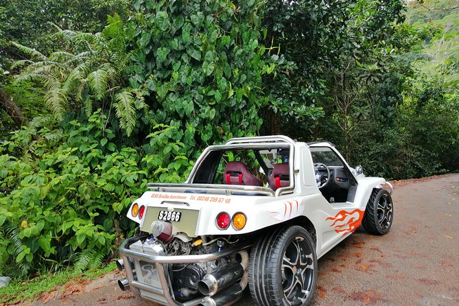 Island tour with the beach buggy - Key things you will notice right away