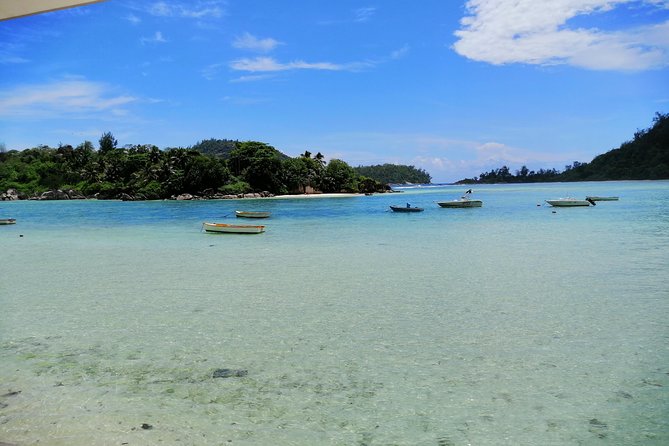 Island tour with the beach buggy - How François turns a route into a real day on Mahé