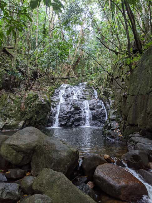 Jungle Adventure Hike:Climb, Waterfall, Discover Seychelles! - Key highlights worth building your day around