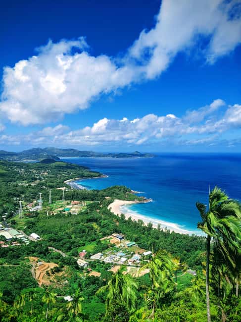 Jungle Adventure Hike:Climb, Waterfall, Discover Seychelles! - Through Grand Anse jungle: the plants, the river banks, the wildlife you might see