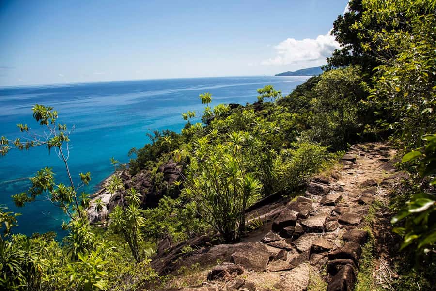 Mahé: Baie Ternay Park Catamaran Cruise with BBQ Lunch - Your Guide in English or French, and What Makes It Fun