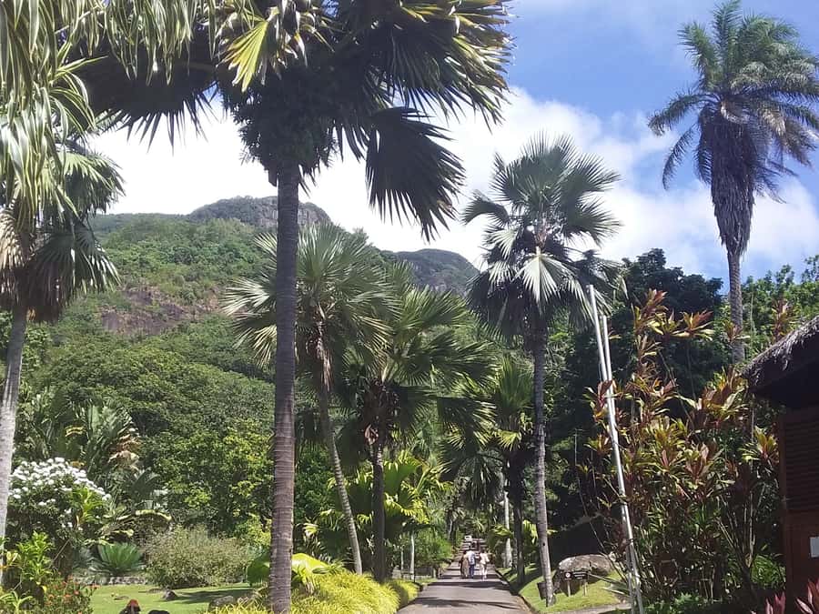 Mahé: Customizable Private Tour of Island with Driver - Price and Value: Is $199 Per Group Up To 3 a Smart Deal?