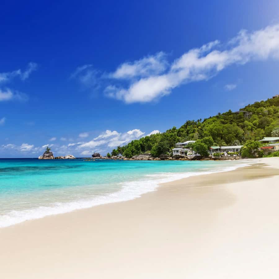 Mahe Discovery Bus Tour - Key things worth knowing before you book