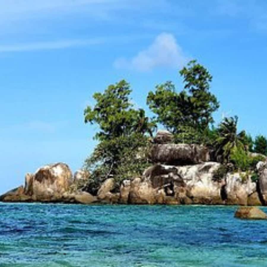 Mahe Discovery Bus Tour - Why a local driver changes the feel of beach time