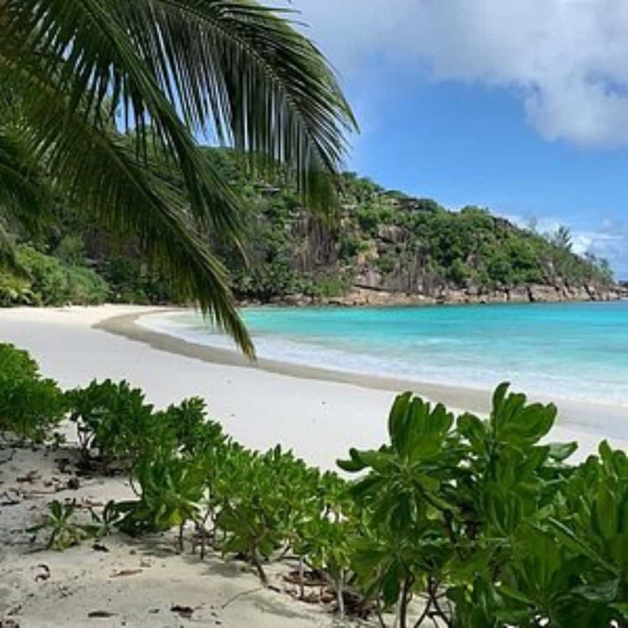 Mahe Discovery Bus Tour - What to bring for Mahe beach-hopping (so you enjoy it, not fight it)
