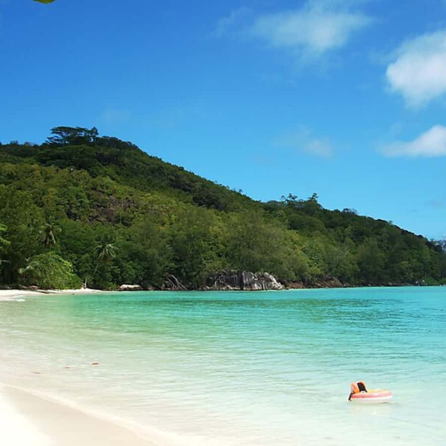 Mahe Discovery Bus Tour - The value call: should you spend $176 on this beach circuit?
