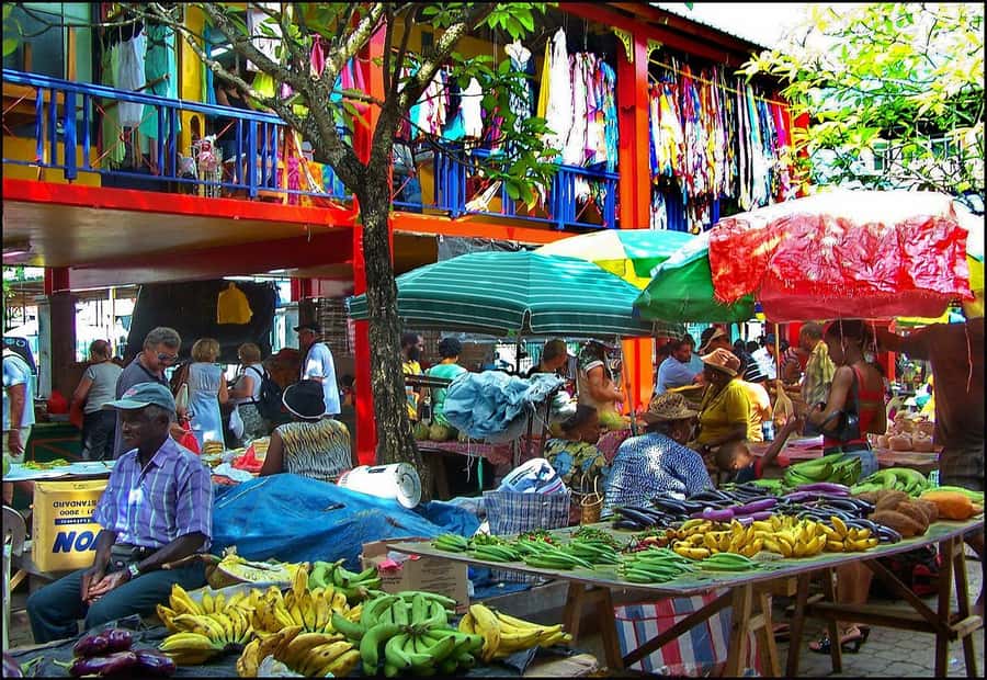 Mahé Island: Island Highlights Guided Day Trip with Lunch - Key Highlights You’ll Really Feel