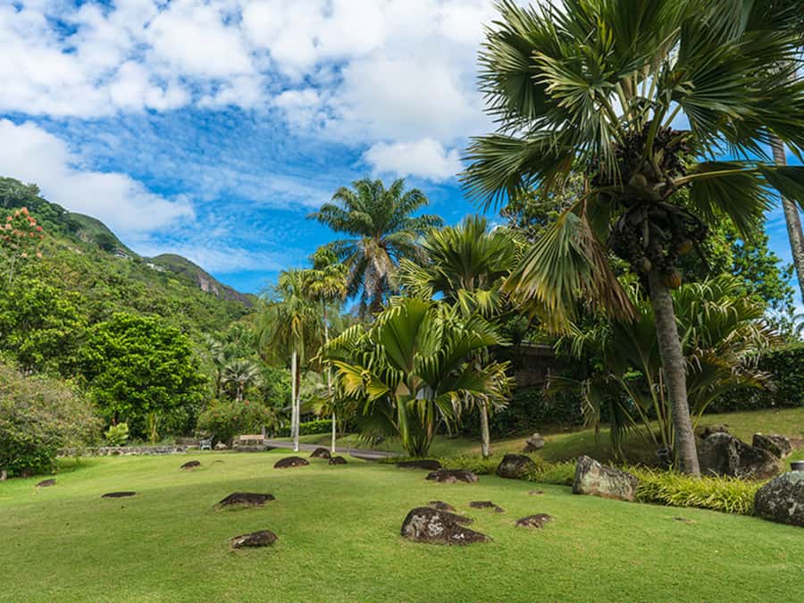 Mahé Island: Island Highlights Guided Day Trip with Lunch - Victoria Market and the Island Capital: More Than a Pretty Stop