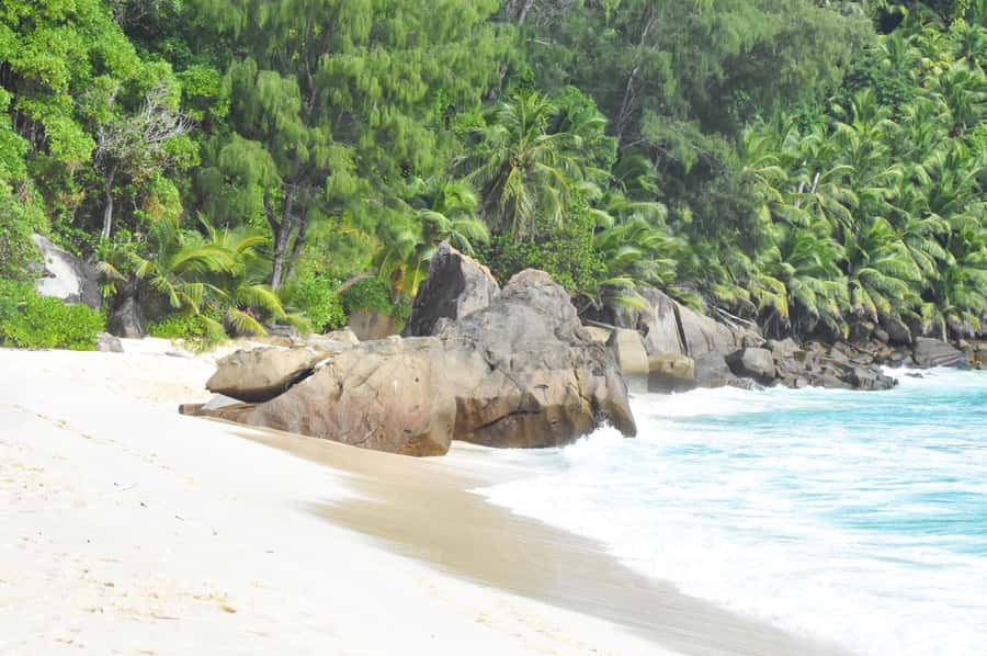 Mahe Island: Private Mahe Island Tour - Price and what makes it good value