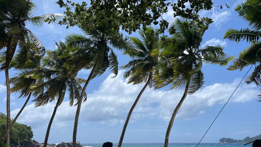 Mahe Island: Private Mahe Island Tour - Private Half-Day or Full-Day Mahé: what this tour gets right