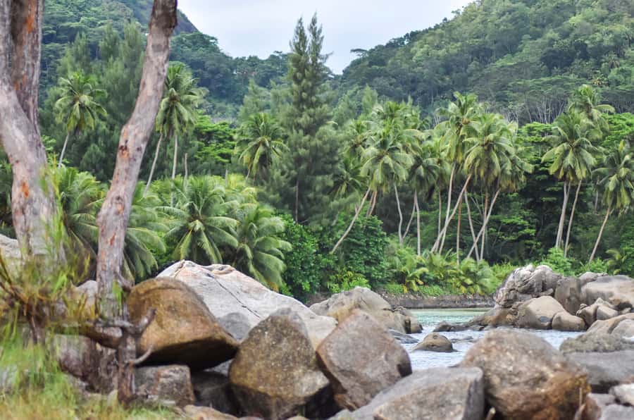 Mahe Island: Private Mahe Island Tour - How the guide’s pacing changes the whole day