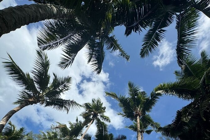 Mahe island Seychelles , unforgettable & adventurous tour - Stop 1: Domaine de Val des Prés Craft Village and Coco de Mer Finds