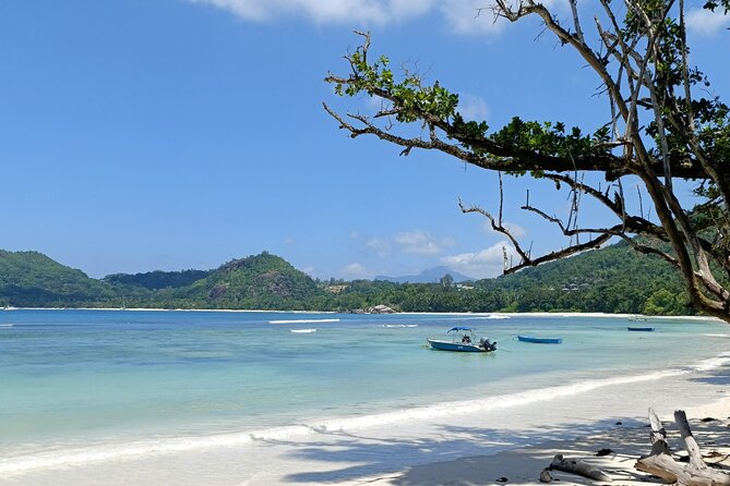 Mahe island Seychelles , unforgettable & adventurous tour - Stop 4: Victoria Market for Fish, Fruit, Veg, and Handicrafts