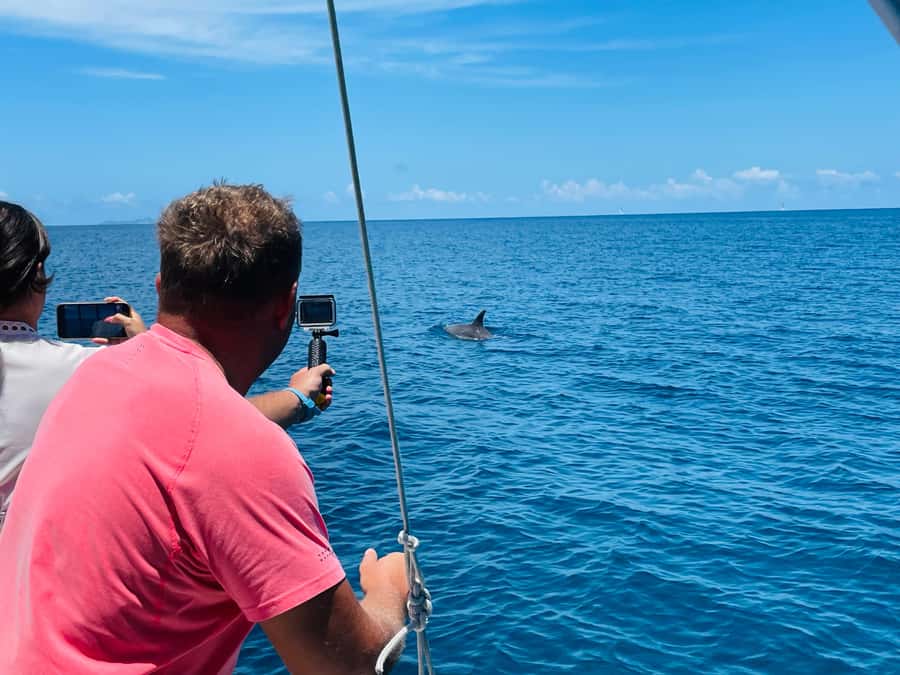 Mahe Island: St. Anne Marine Park Snorkeling Trip - Who this Mahe snorkeling trip fits best