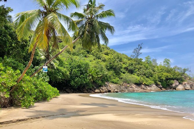 Mahe Island tour - Anse Intendance: more ocean time, same efficient style