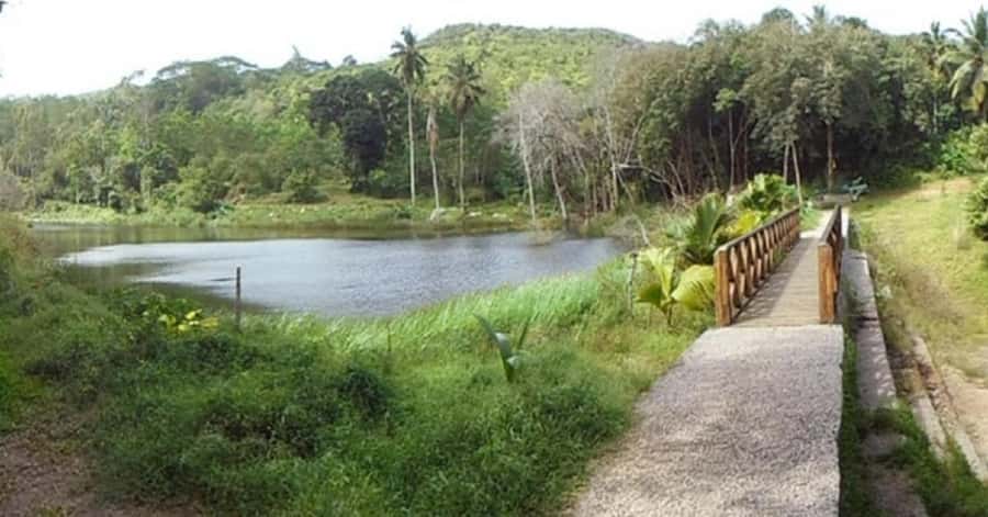 Mahé: Private Customizable Island Tour with Hotel Transfer - Botanical gardens and lookout stops for island views