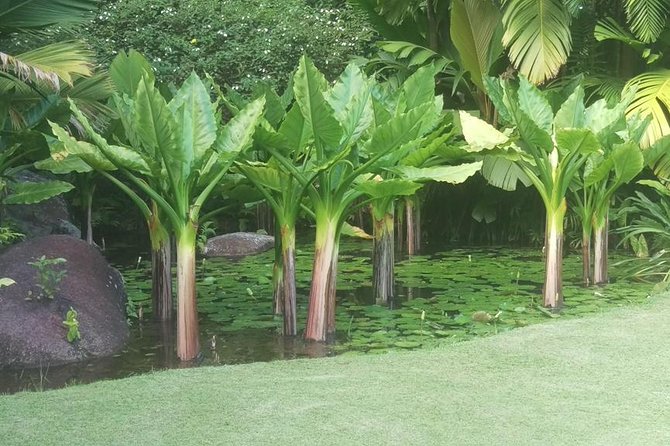 Mahe Private full day tour - Why a private day on Mahe feels different