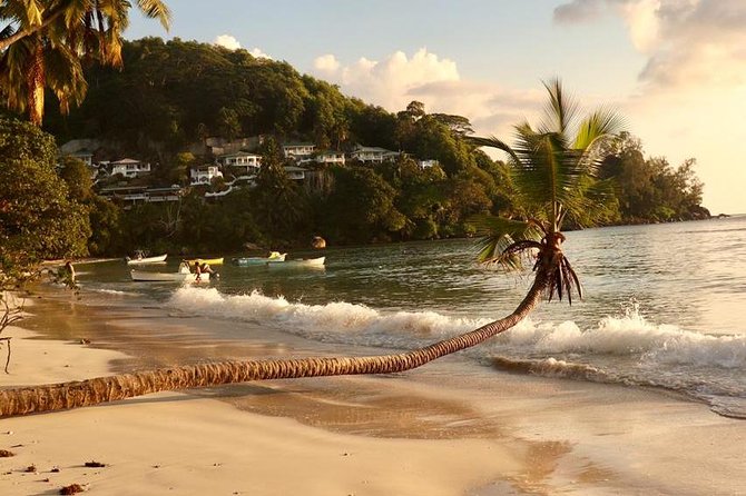 Mahe Private full day tour - Stop 1 in Seychelles: you choose the theme of your day